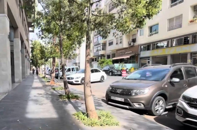 Gauthier in Casablanca mit urbaner, zentraler und professioneller Wohnlage